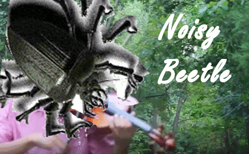 noisy beetle.gif